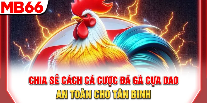 Luật Chơi Và Chiến Thuật Đá Gà Cựa Dao Chi Tiết 2025 11 Chia sẻ cách cá cược đá gà cựa dao an toàn cho tân binh