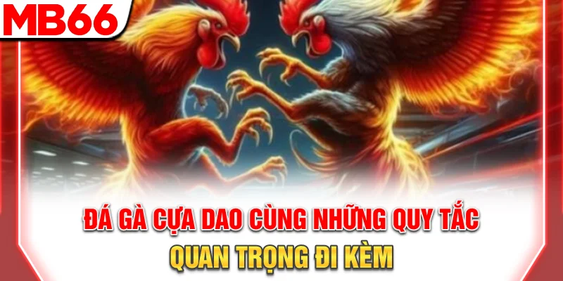 Luật Chơi Và Chiến Thuật Đá Gà Cựa Dao Chi Tiết 2025 9 Đá gà cựa dao cùng những quy tắc quan trọng đi kèm