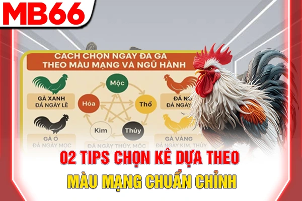 02 tips chọn kê dựa theo màu mạng chuẩn chỉnh