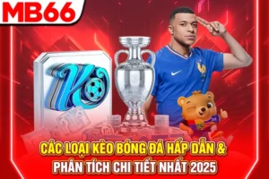 Các Loại Kèo Bóng Đá Hấp Dẫn & Phân Tích Chi Tiết Nhất 2025