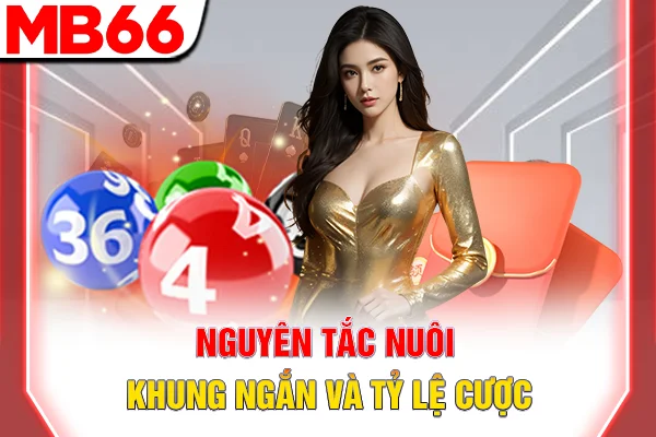 Cách Đánh Lô Đề - 3 Chiến Thuật Hiệu Quả Nhất 2025 7 Nguyên tắc nuôi khung ngắn và tỷ lệ cược